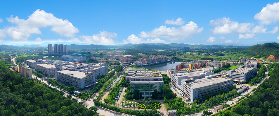 华阳集团 华阳集团